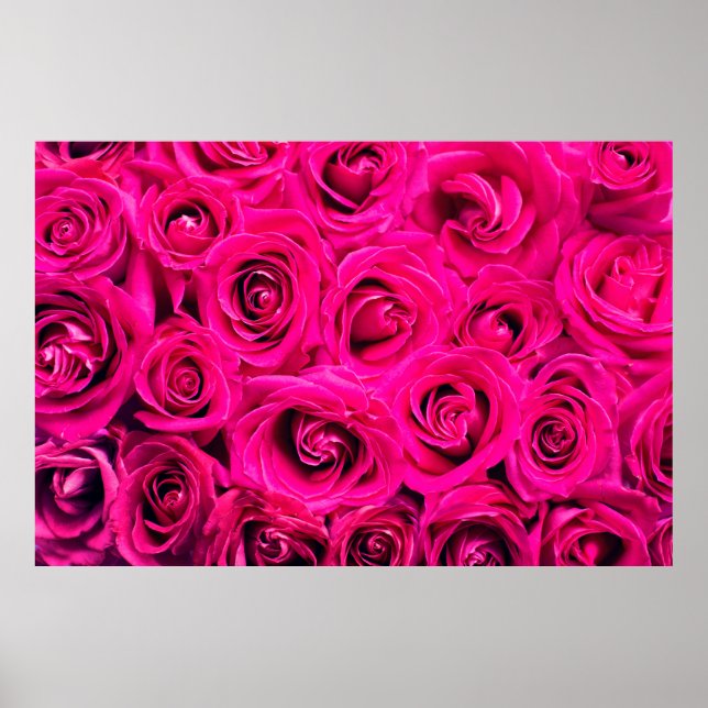 Póster Fondo de rosas de flores rosadas (Frente)