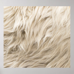 Póster Fondo de textura con flotación de lana blanca