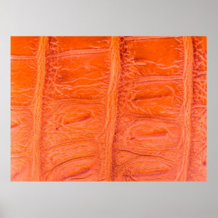 Póster Fondo de textura de la piel del vientre de cocodri