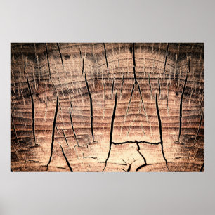 Póster fondo de un stumpabstracto de madera, edad, enveje