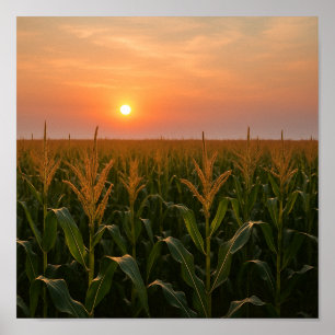 Póster Fondo de verano de Golden Cornfield