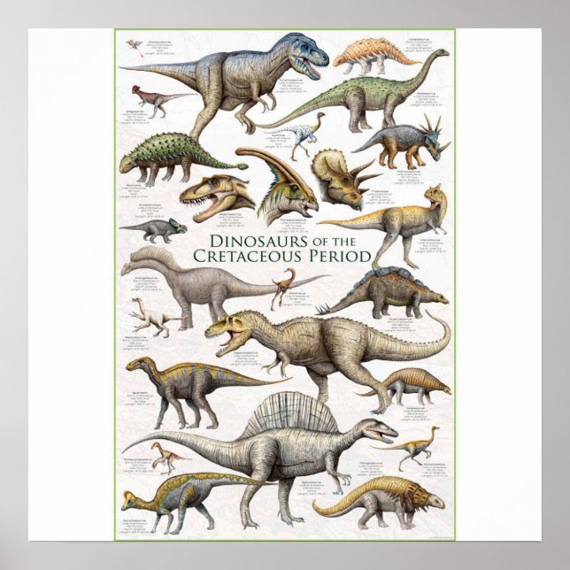 Póster Fondo del gráfico Dinosaurio (Frente)