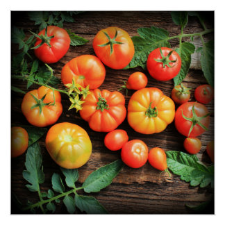 Póster Fondo del tomate