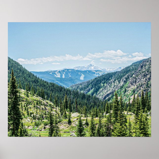 Póster Fondo Forestal Denso // Rutas de la estación de es (Frente)