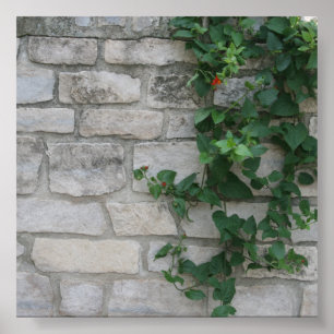 Póster Fondo fotográfico de Vine de Ladrillo Blanco
