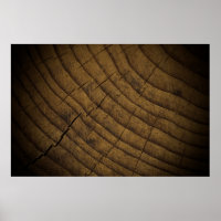 Fondo Natural De Madera De Pino. Materia cruda. 10