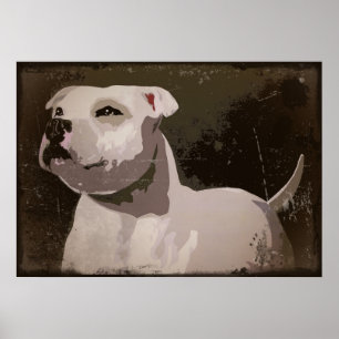 Póster Fondo urbano blanco de Staffordshire bull terrier