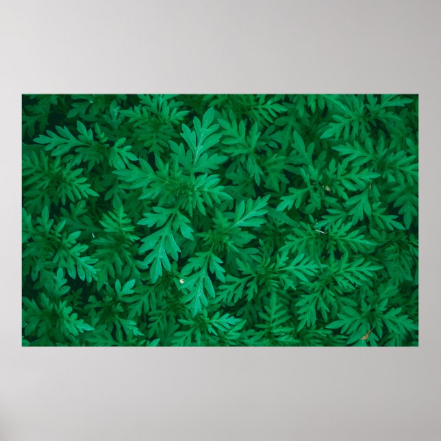 Póster Fondo verde natural de hojas verdes abstractas (Frente)