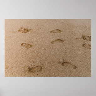 Póster Foot print seashore