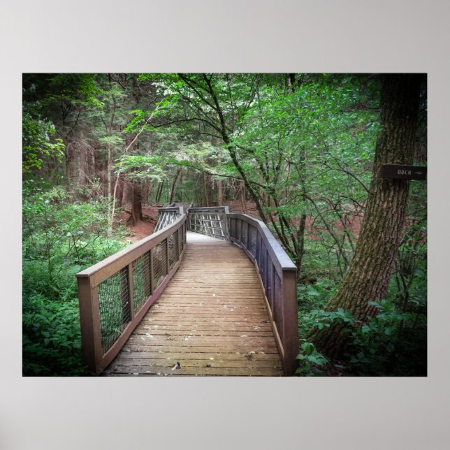 Póster Footbridge (Frente)