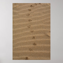 Póster Footprints in the sand