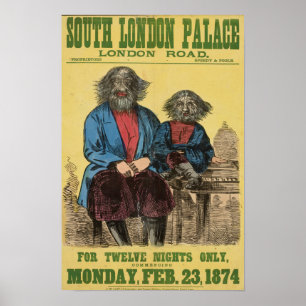 Póster For Twelve Nights Only Poster