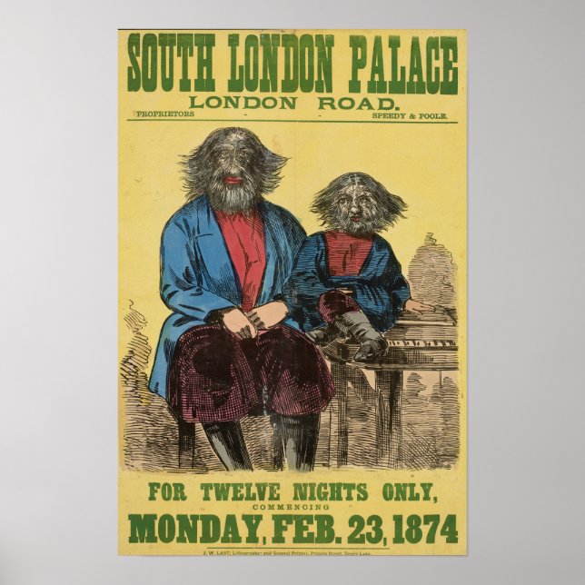 Póster For Twelve Nights Only Poster (Frente)