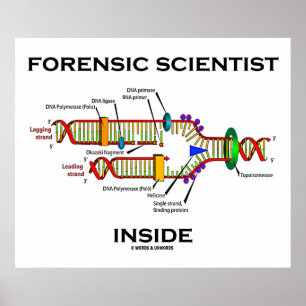 Póster Forensic Scientist Inside (DNA Replication)