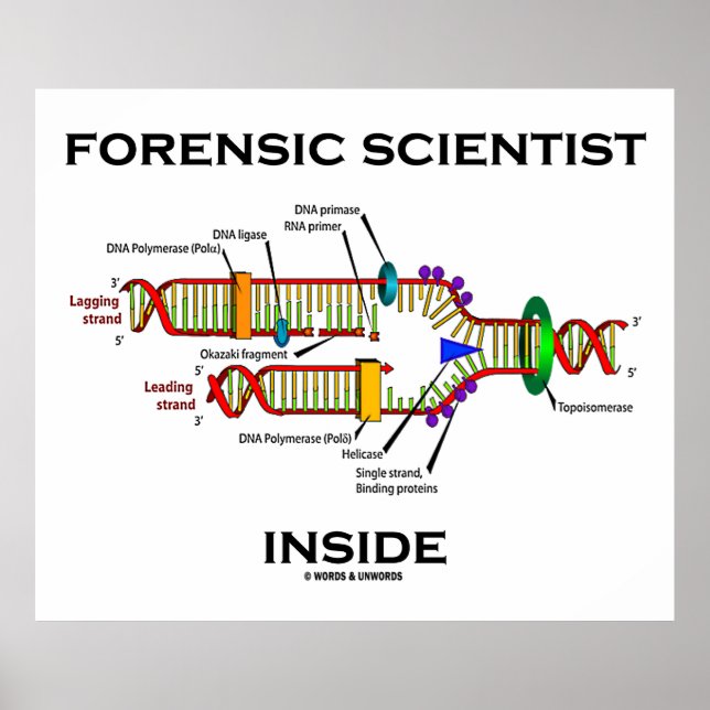 Póster Forensic Scientist Inside (DNA Replication) (Frente)
