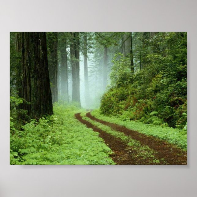 Póster Forest (Frente)