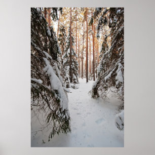 Póster Forest in winter