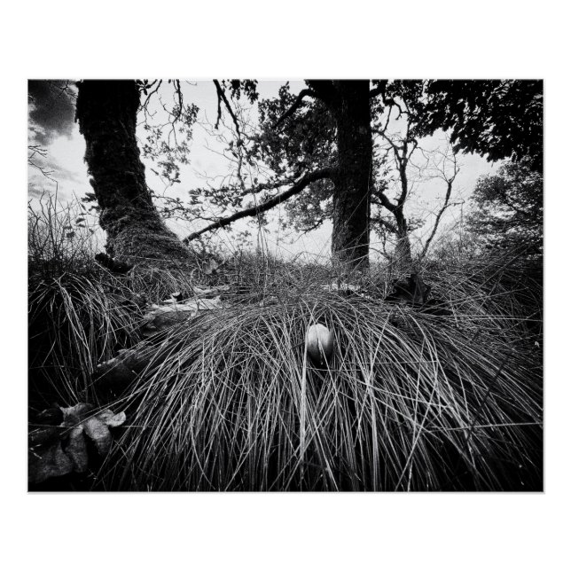 Póster Forest on the mouse level (Anverso)