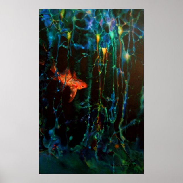 Póster "Forest" Sarah Doherty 2008 (Frente)