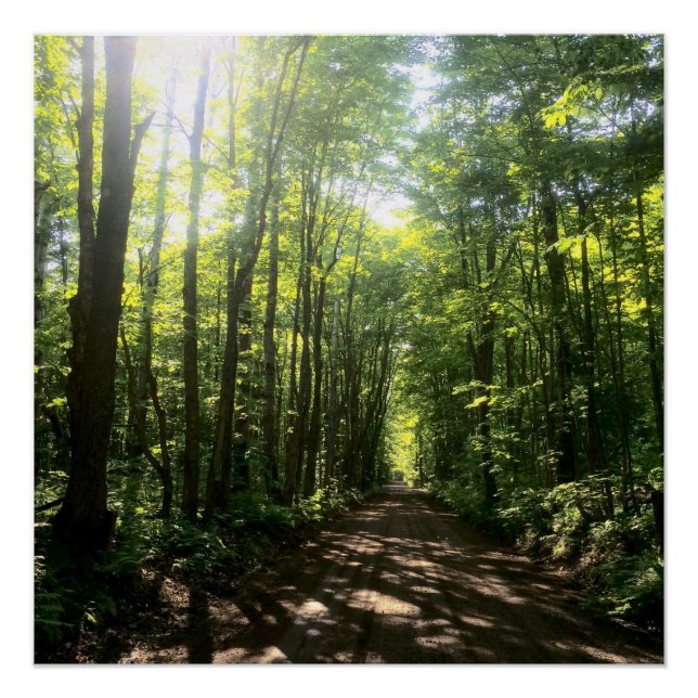 poster forestal (Anverso)