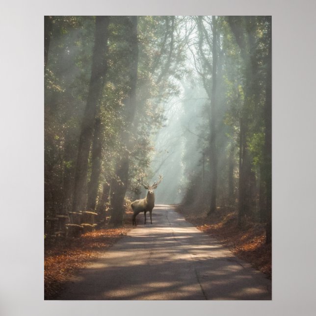 Póster Forests | Woodland Stag (Frente)