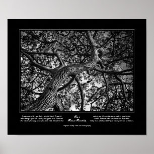 Póster Forever Friendship, canadiense Pine, Bella Artes