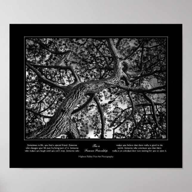 Póster Forever Friendship, canadiense Pine, Bella Artes (Frente)