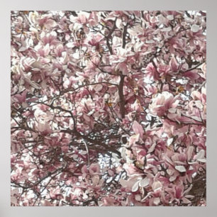 Póster Forever Spring Magnolia Photography Poster
