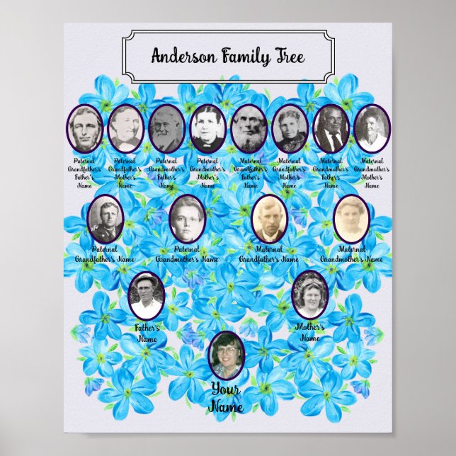 Póster Forget-Me-Not Blue Floral Oval Ancestor Photos (Frente)