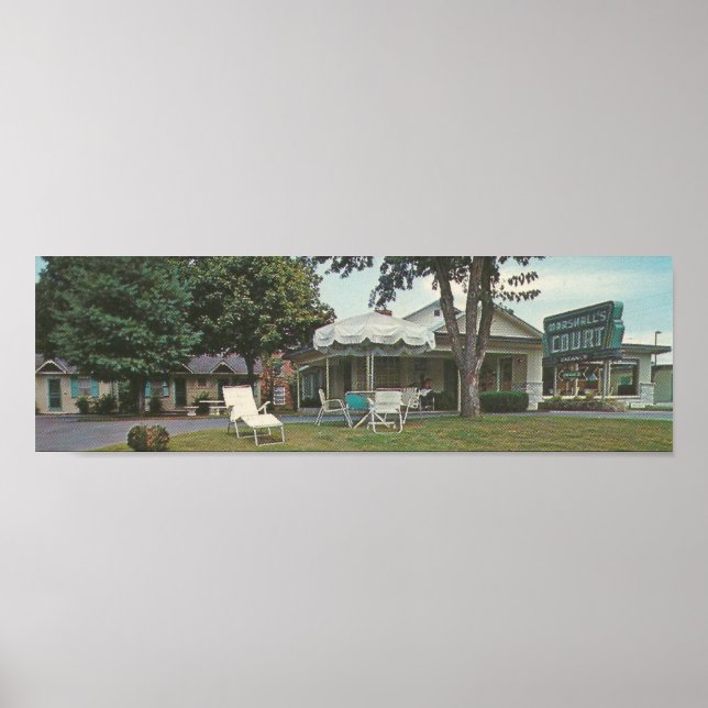 Póster Forja de pichón de los años 60, TN (Frente)