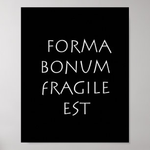Póster Forma bonum frágil est