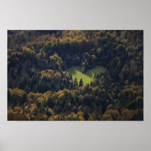 Póster Forma cardíaca en un bosque de Eslovenia