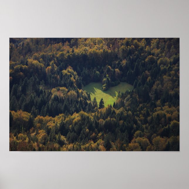 Póster Forma cardíaca en un bosque de Eslovenia (Frente)