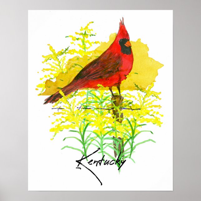 Póster Forma del estado de Kentucky, pájaro cardenal, var (Frente)
