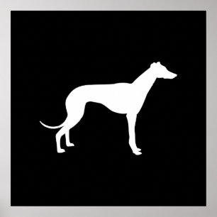 Póster Forma en blanco y negro de galgo