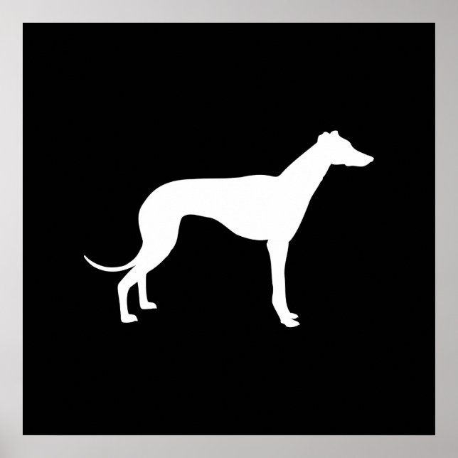 Póster Forma en blanco y negro de galgo (Frente)