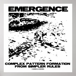 Póster Formación de patrones complejos de emergencia desd