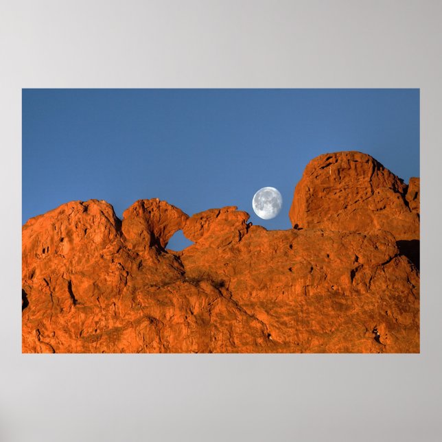 Póster Formación de rock de camellos con luna llena (Frente)