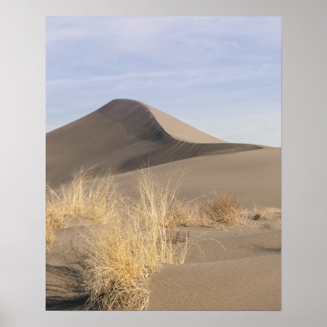 Póster Formaciones de dunas de arena. Bruneau Dunes State (Frente)