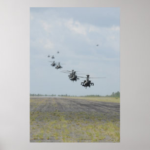 Póster Formation of AH-64D Apache Helicopters