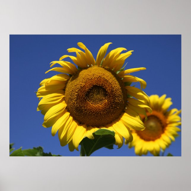 Póster Fórmula de Grecia (Frente)