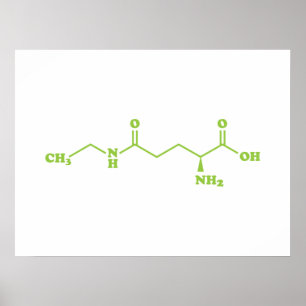 Póster Fórmula Química Molecular de Teanina del Té