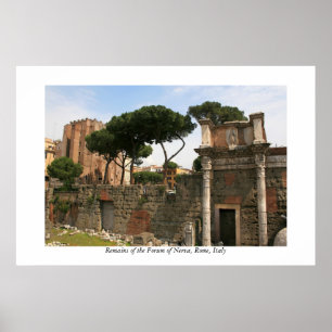 Póster Foro del poster de Nerva