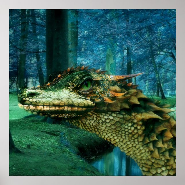 Póster Forrest Dragon (Frente)