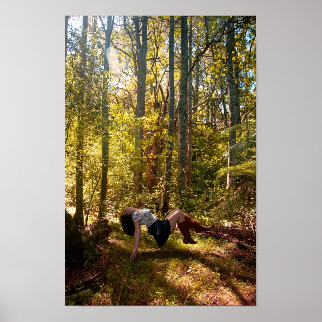 Póster Forrest of Dreams (Frente)