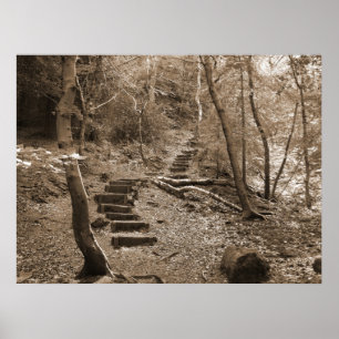 Póster Forrest Steps XL Canvas