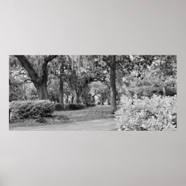 Póster Forsyth Park, Savannah Ga
