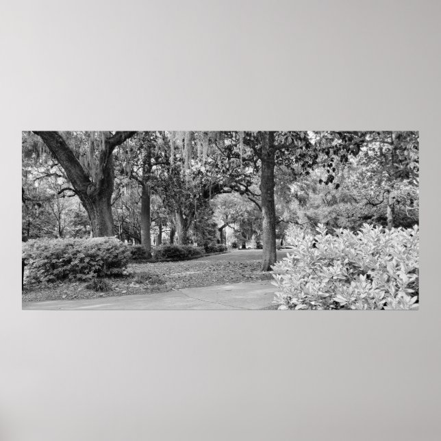 Póster Forsyth Park, Savannah Ga (Frente)