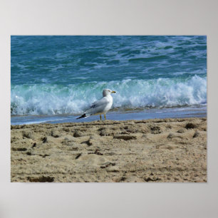 Póster Fort Lauderdale, Florida