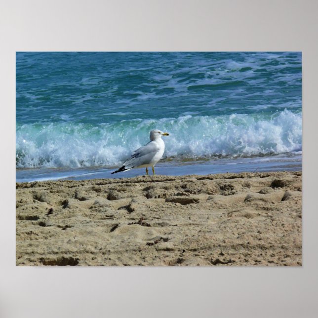 Póster Fort Lauderdale, Florida (Frente)